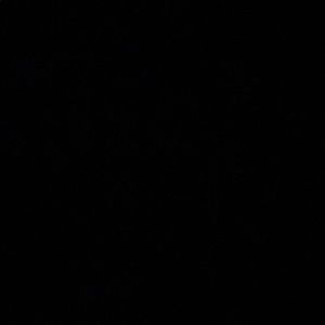 Meet your Posher, Meghan